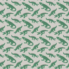 Alligator