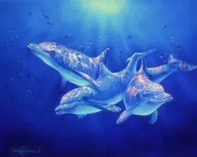 Dolphin Magic - Wholesale