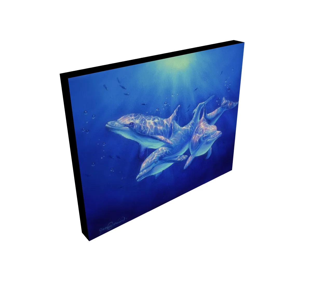 Dolphin Magic - Wholesale