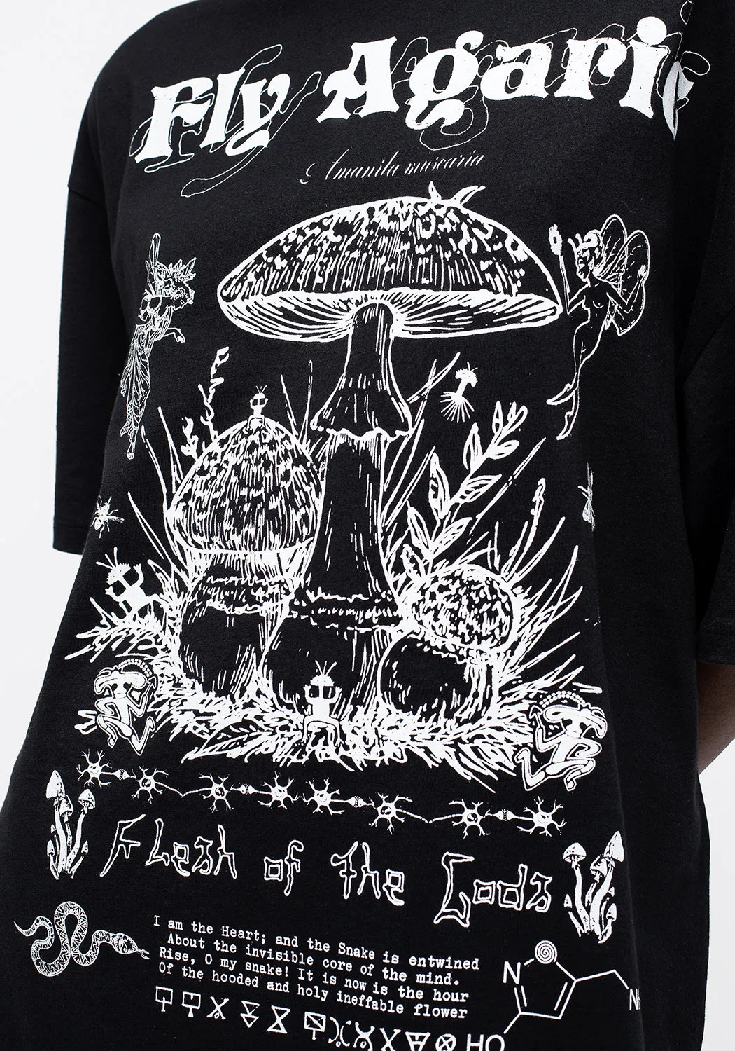 Fly Agaric Tee Dress