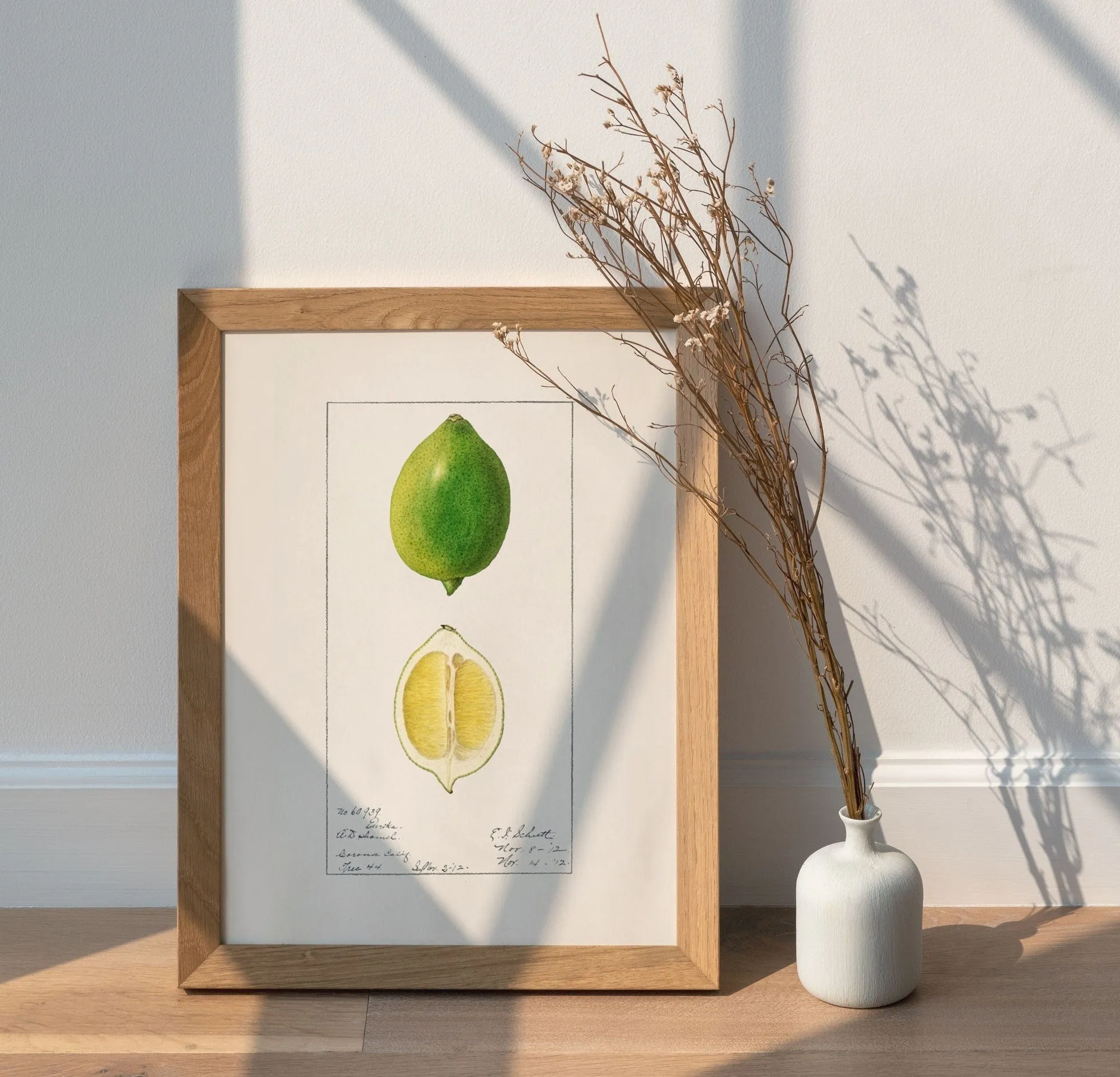 Lime Vintage Art
