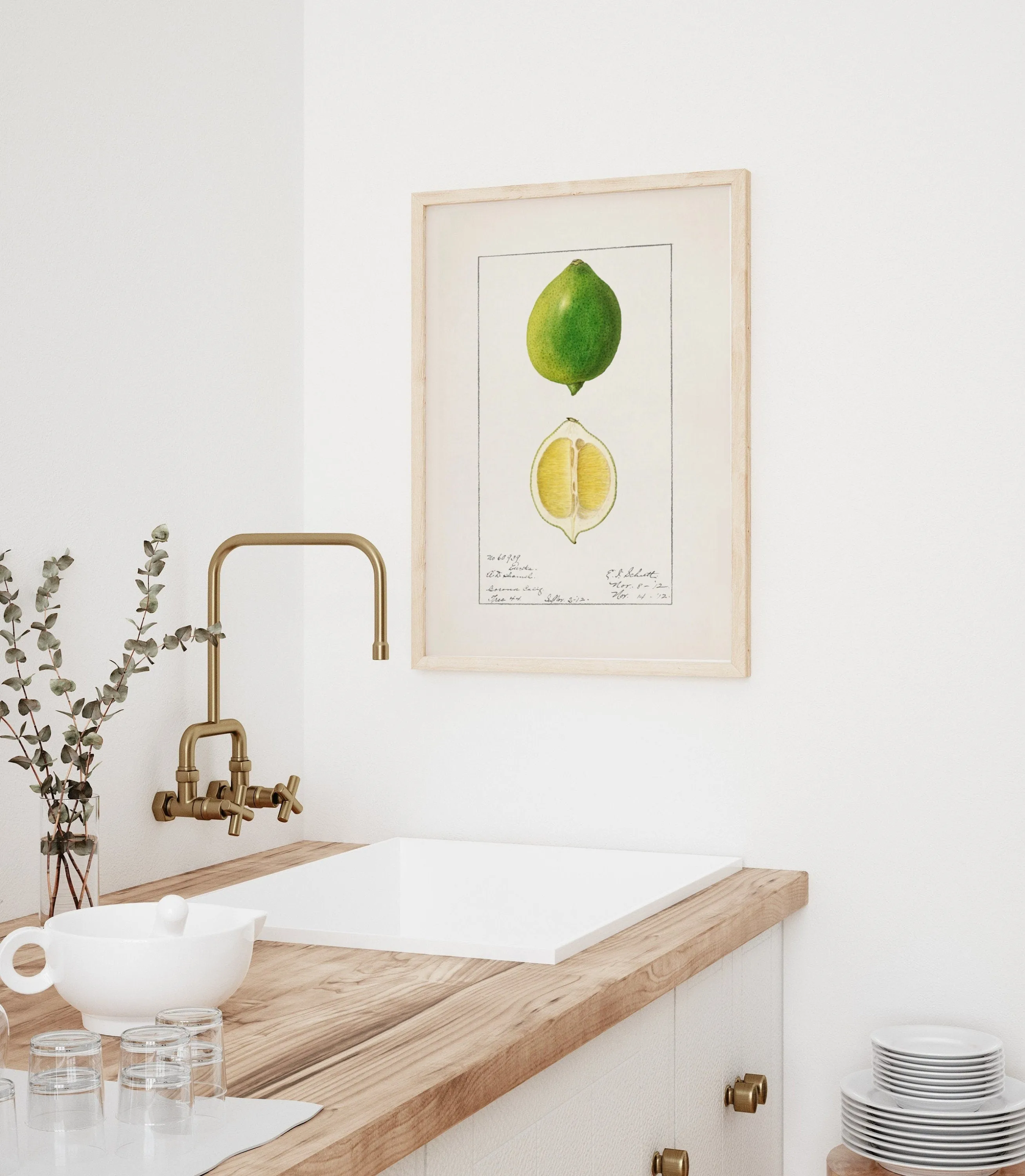 Lime Vintage Art