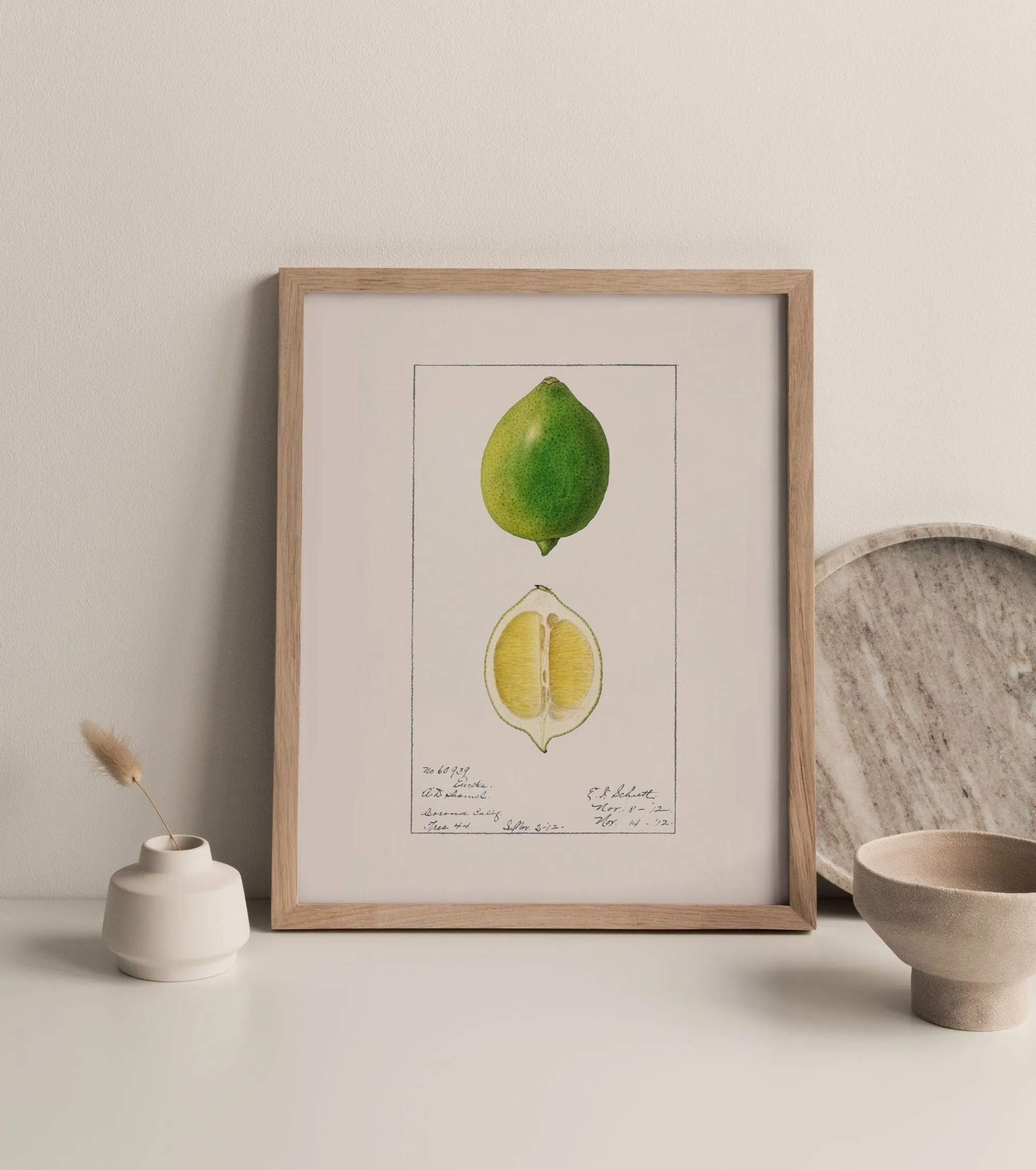 Lime Vintage Art