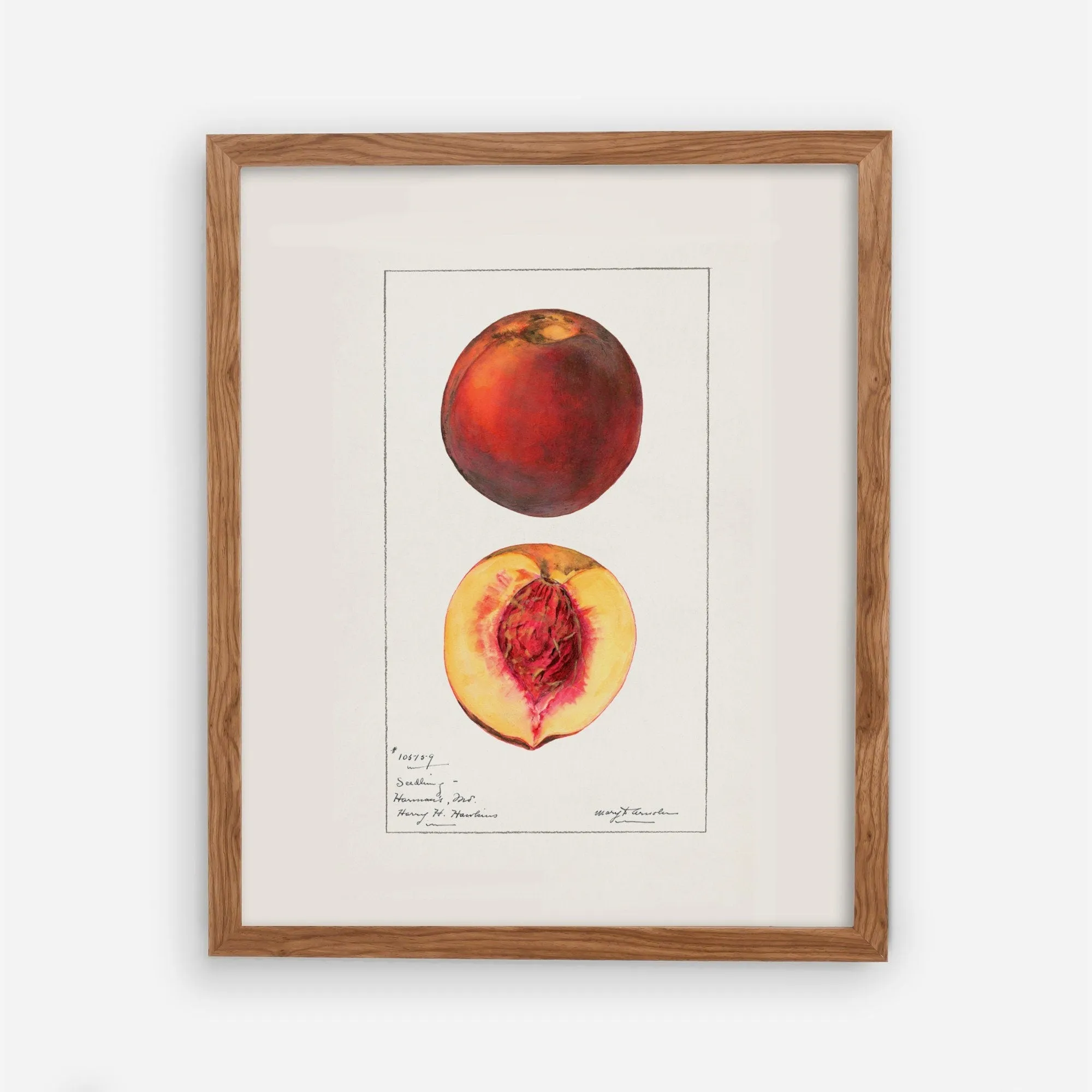 Peaches Vintage Art